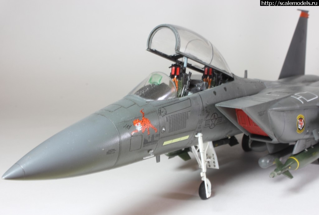 1487707232_IMG_8715.JPG : #1349405/ Revell 1/48 F-15E Strike Eagle(#10778) -   