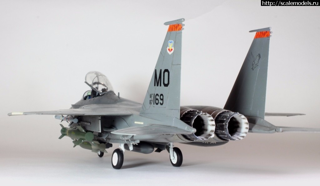 1487707234_IMG_8721.JPG : #1349405/ Revell 1/48 F-15E Strike Eagle(#10778) -   