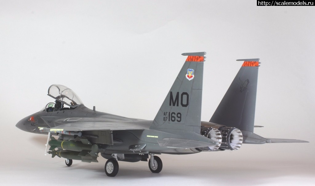 1487707236_IMG_8731.JPG : #1349405/ Revell 1/48 F-15E Strike Eagle(#10778) -   