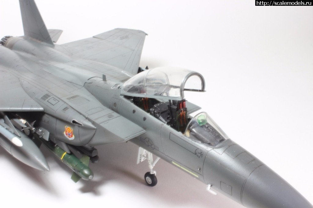 1487707240_IMG_8744.JPG : #1349405/ Revell 1/48 F-15E Strike Eagle(#10778) -   