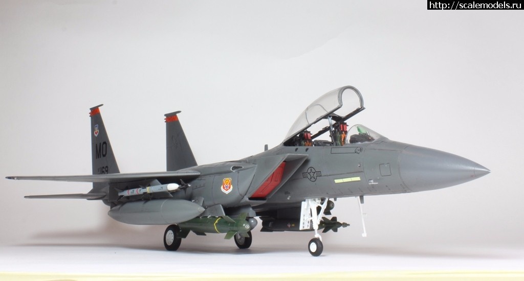 1487707248_IMG_8767.JPG : #1349405/ Revell 1/48 F-15E Strike Eagle(#10778) -   