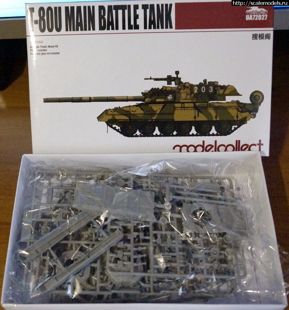 1487938738__DSC8217.jpg : Modelcollect 1/72 T-80U .  