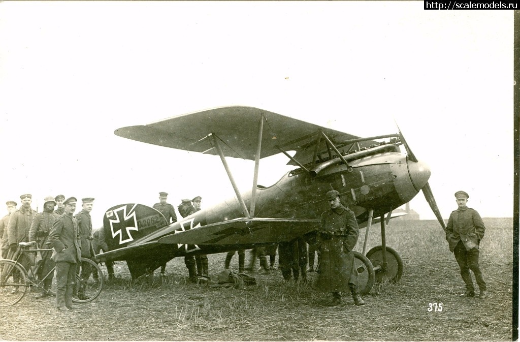 1488241793_2062-16.jpg : #1351598/ Albatros D.III 153.80 Roden 1/72   