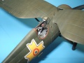 Mirage Hobby 1/48 PZL P-11c