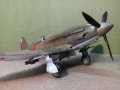 ARK-models 1/48 -3