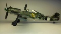 Eduard 1/48 FW-190D-13