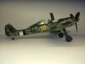 Eduard 1/48 FW-190D-13