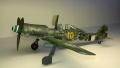 Eduard 1/48 FW-190D-13