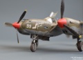 Hasegawa 1/48 Lightning -  