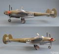 Hasegawa 1/48 Lightning -  