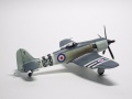 Pioneer 1/72 Sea Fury -     ,    .