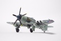 Pioneer 1/72 Sea Fury -     ,    .