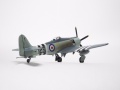 Pioneer 1/72 Sea Fury -     ,    .