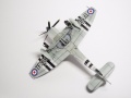 Pioneer 1/72 Sea Fury -     ,    .