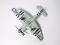 Pioneer 1/72 Sea Fury -     ,    .