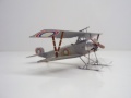  1/72 Nieuport-11 Bebe