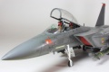 Revell 1/48 F-15E Strike Eagle