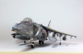 Revell 1/48 arrier Gr. Mk 9 Sqadron No.41, Coningsby