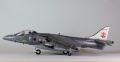 Revell 1/48 arrier Gr. Mk 9 Sqadron No.41, Coningsby