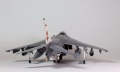 Revell 1/48 arrier Gr. Mk 9 Sqadron No.41, Coningsby