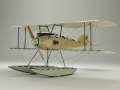 Roden 1/72 Albatros W4   