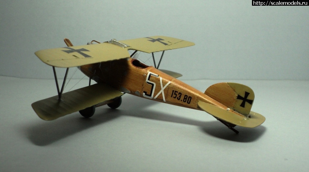 1488731090_DSC05634.JPG : #1353838/ Albatros D.III 153.80 Roden 1/72   