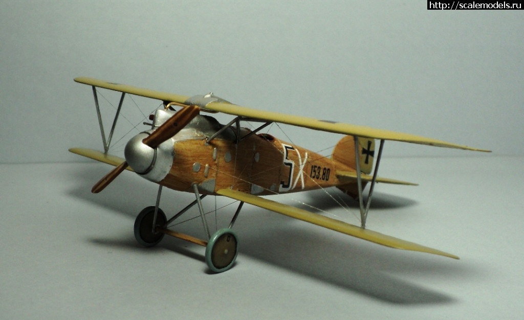 1488731092_DSC05635.JPG : #1353838/ Albatros D.III 153.80 Roden 1/72   