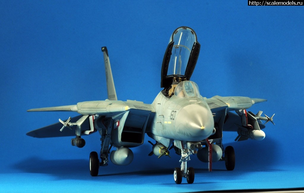 1488995746_3.jpg : #1354949/ F-14D HASEGAWA 1/48 / GRIM REAPERS AD160 - .  