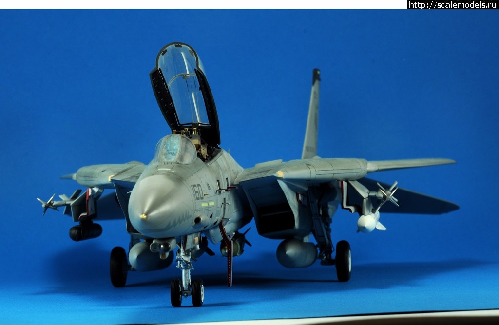 1488995747_4.jpg : #1354949/ F-14D HASEGAWA 1/48 / GRIM REAPERS AD160 - .  