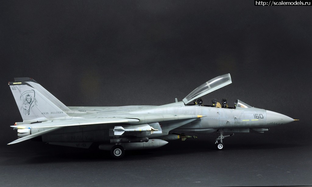 1488997156_10.jpg : #1354949/ F-14D HASEGAWA 1/48 / GRIM REAPERS AD160 - .  