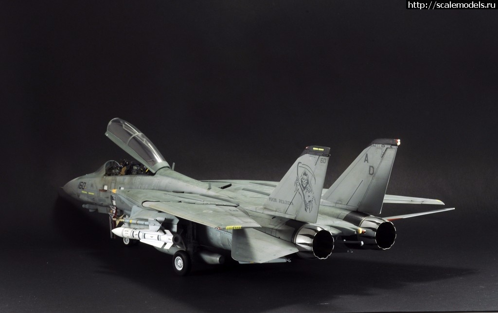 1488997158_13.jpg : #1354949/ F-14D HASEGAWA 1/48 / GRIM REAPERS AD160 - .  