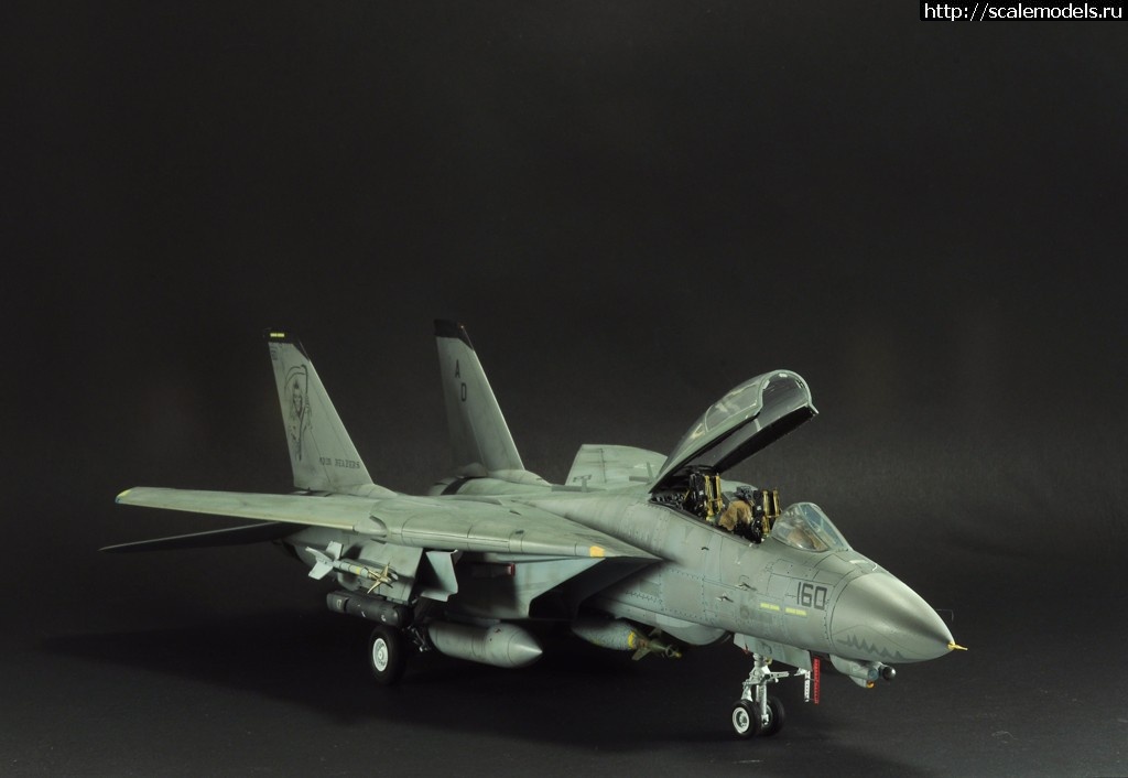 1488997159_14.jpg : #1354949/ F-14D HASEGAWA 1/48 / GRIM REAPERS AD160 - .  