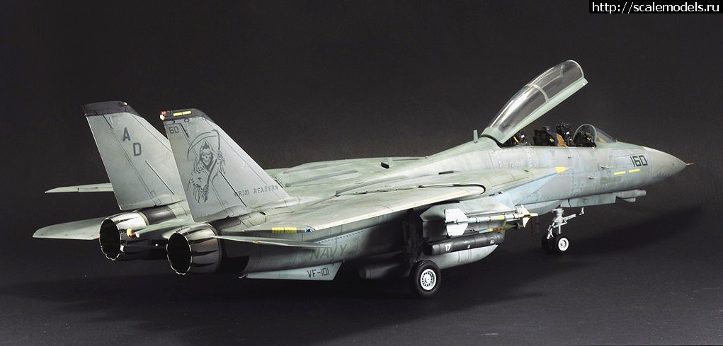 1488997735_000.jpg : #1354960/ F-14D HASEGAWA 1/48 / GRIM REAPERS AD160 - .  