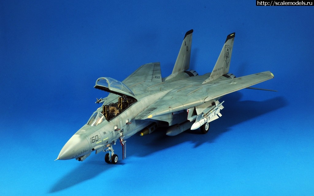 1489000933_15.jpg : #1354949/ F-14D HASEGAWA 1/48 / GRIM REAPERS AD160 - .  