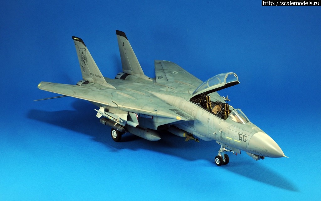 1489000934_16.jpg : #1354949/ F-14D HASEGAWA 1/48 / GRIM REAPERS AD160 - .  