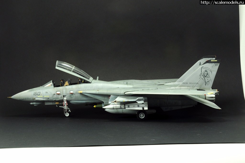 1489002953_11.jpg : #1354949/ F-14D HASEGAWA 1/48 / GRIM REAPERS AD160 - .  