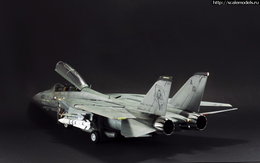 1489002954_13.jpg : #1354949/ F-14D HASEGAWA 1/48 / GRIM REAPERS AD160 - .  