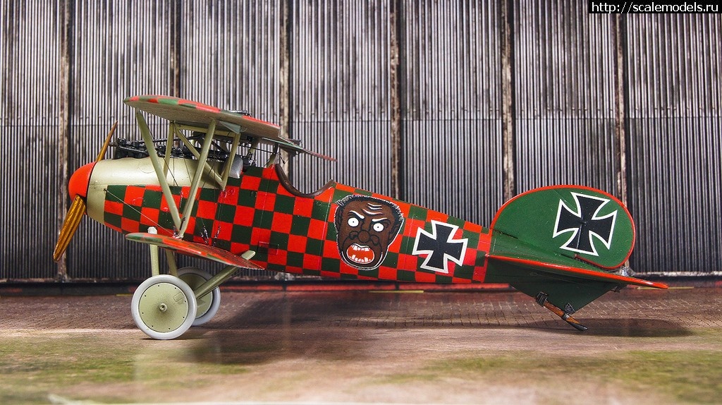 1489637254_DSC07363_1.jpg : #1357935/ Albatros D.V Rumey - Eduard - 1/48 - !  