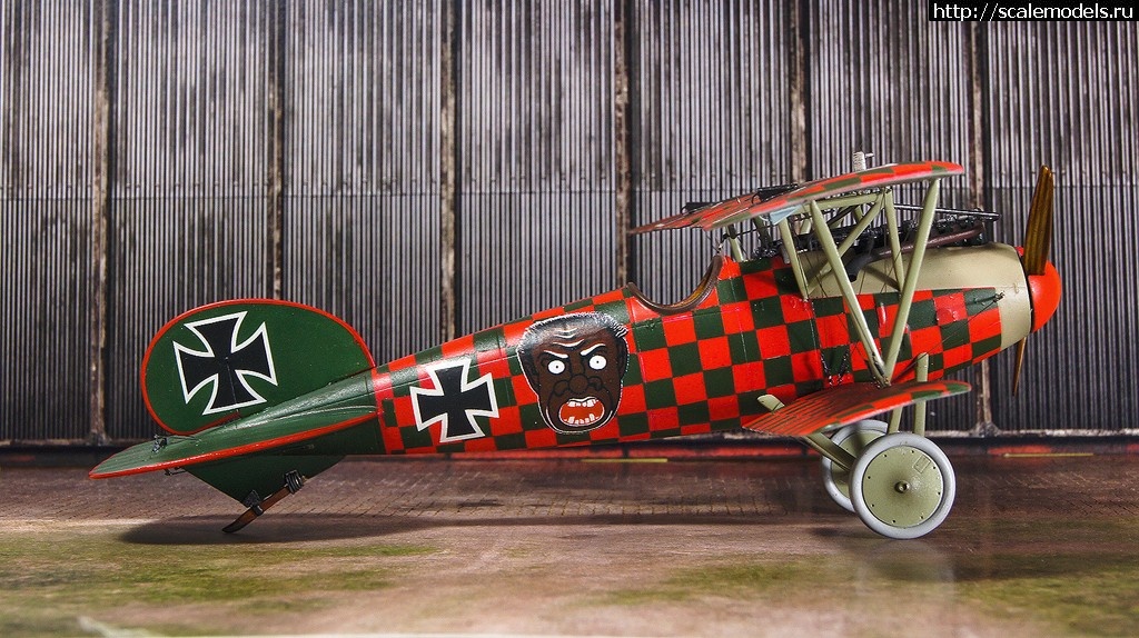 1489637257_DSC07367_1.jpg : #1357935/ Albatros D.V Rumey - Eduard - 1/48 - !  