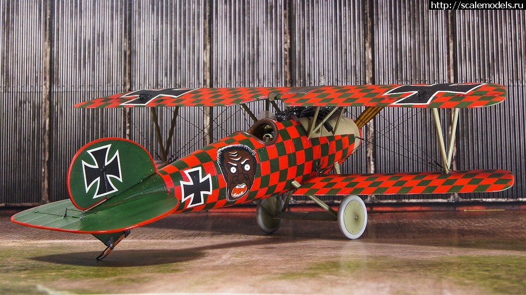 1489637257_DSC07368_1.jpg : #1357935/ Albatros D.V Rumey - Eduard - 1/48 - !  