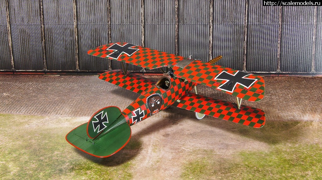 1489637258_DSC07370_1.jpg : #1357935/ Albatros D.V Rumey - Eduard - 1/48 - !  