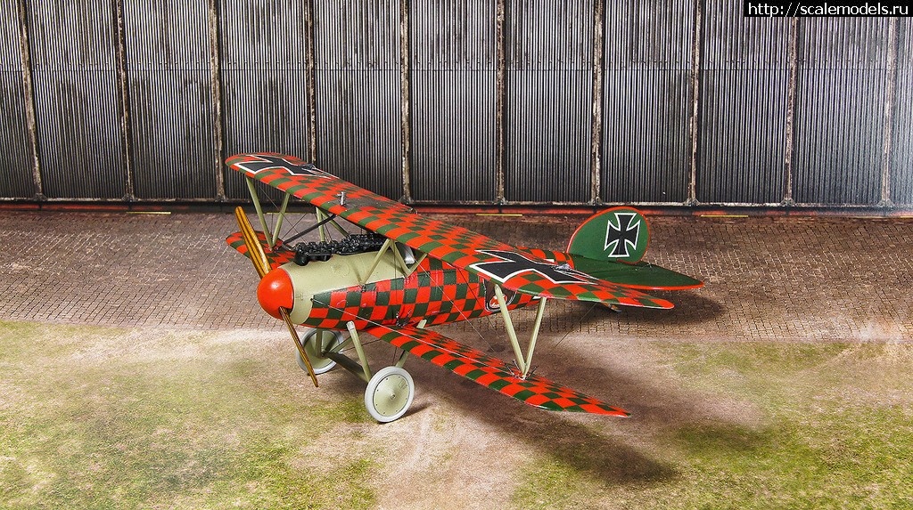 1489637260_DSC07373_1.jpg : #1357935/ Albatros D.V Rumey - Eduard - 1/48 - !  