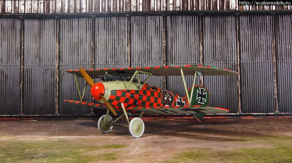 1489637263_DSC07391_1.jpg : #1357935/ Albatros D.V Rumey - Eduard - 1/48 - !  