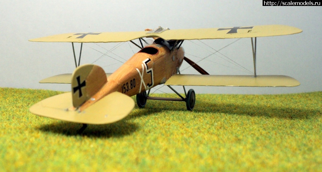 1489946673_2.JPG : #1359372/ Albatros D.III 153.80 Roden 1/72   