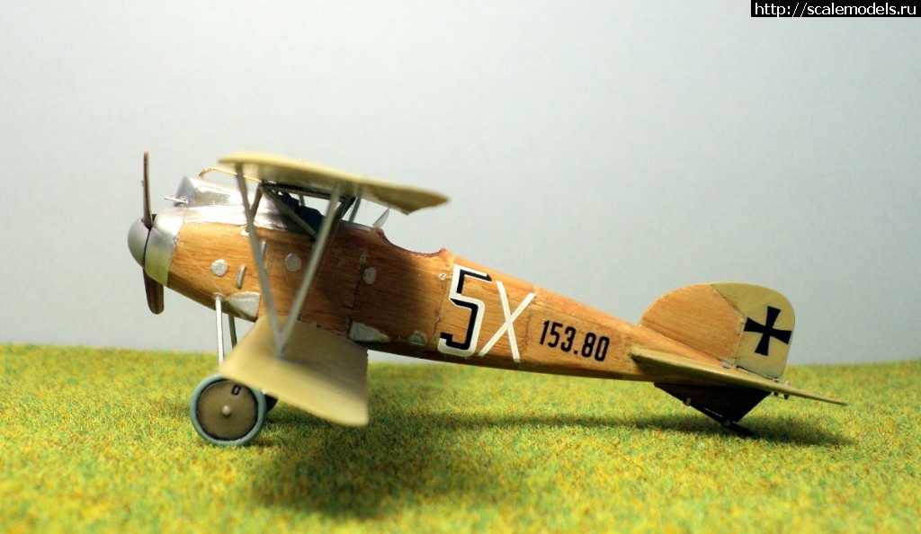 1489946675_4.JPG : #1359372/ Albatros D.III 153.80 Roden 1/72   