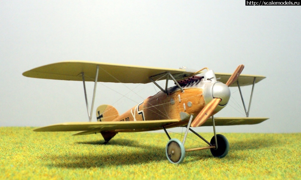 1489946676_6.JPG : #1359372/ Albatros D.III 153.80 Roden 1/72   