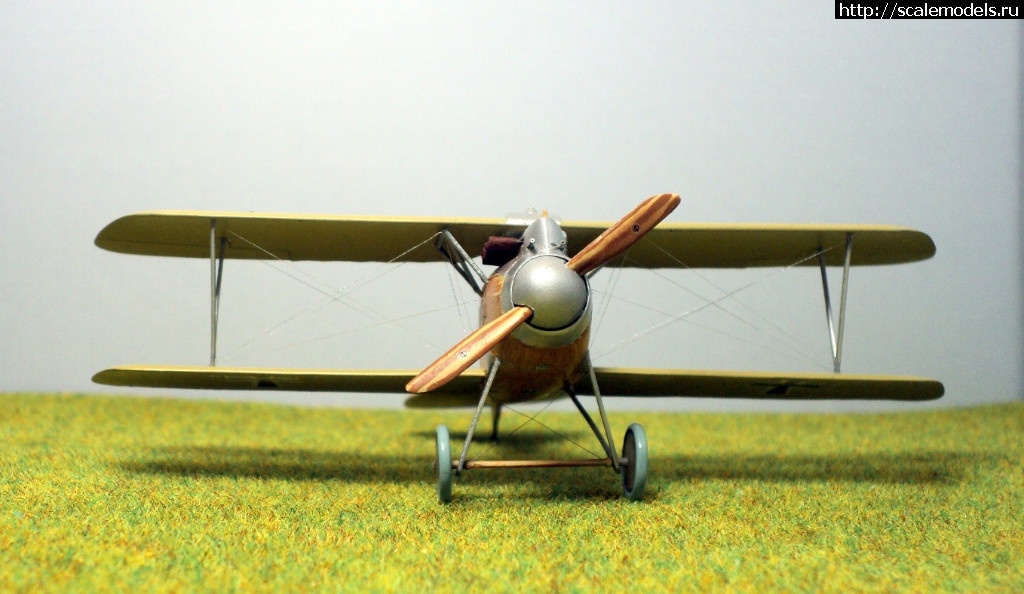 1489946677_7.JPG : #1359372/ Albatros D.III 153.80 Roden 1/72   