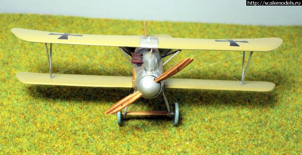 1489946678_8.JPG : #1359372/ Albatros D.III 153.80 Roden 1/72   