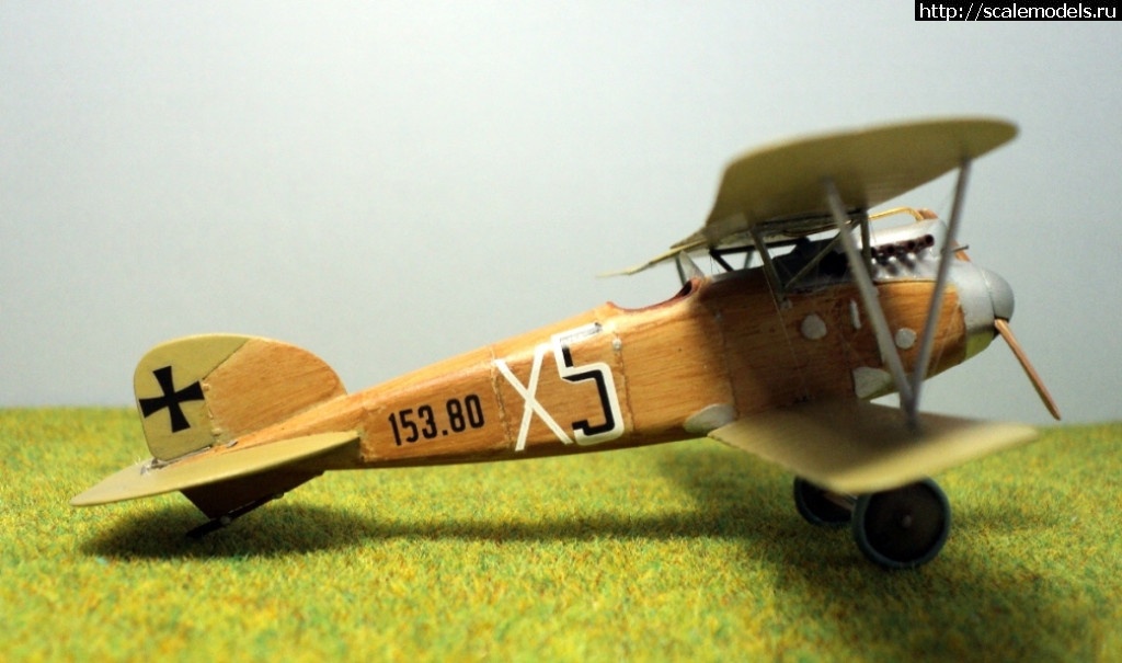 1489946680_10.JPG : #1359372/ Albatros D.III 153.80 Roden 1/72   