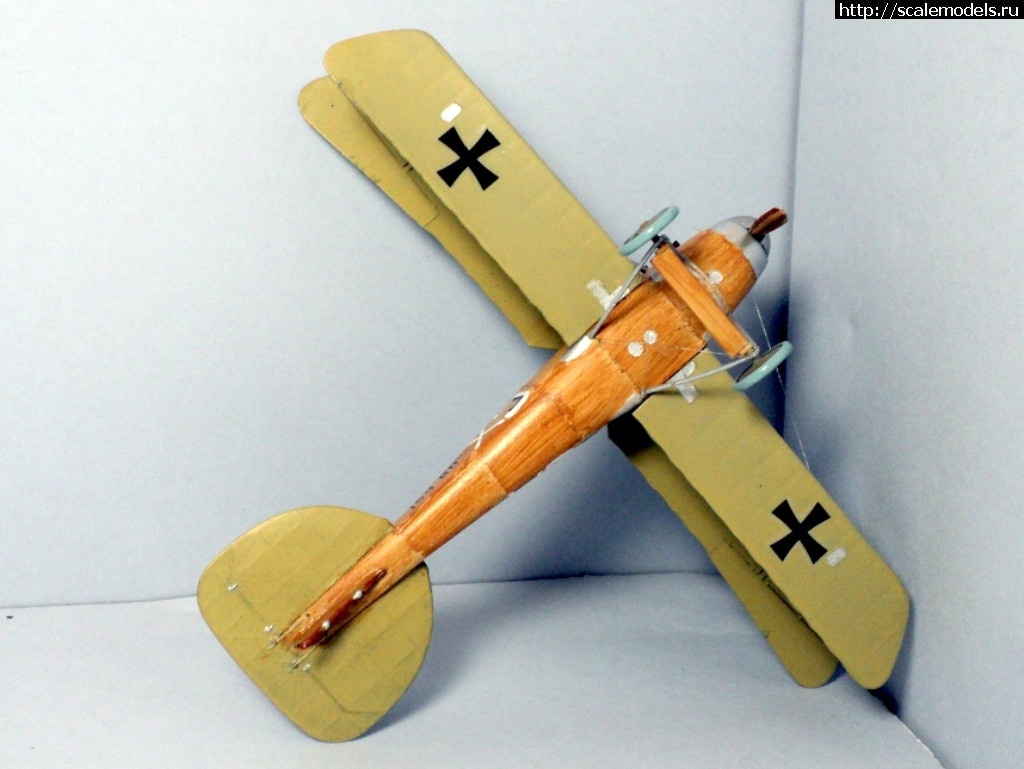 1489946681_12.JPG : #1359372/ Albatros D.III 153.80 Roden 1/72   